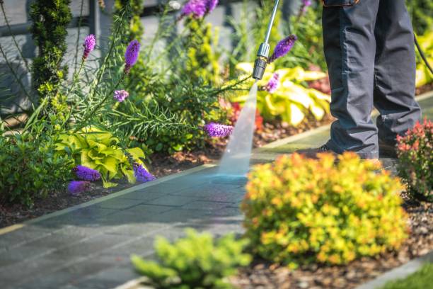 Reliable Wesley Hills, NY Pressure Washing Services Solutions