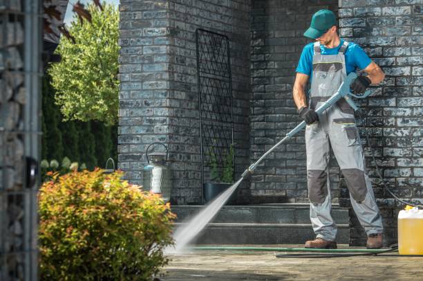 Best Roof Cleaning and Mildew Removal in Wesley Hills, NY